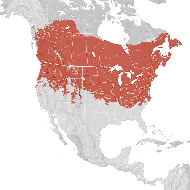 Range Map