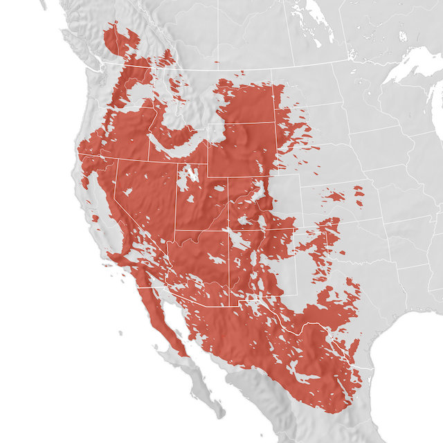 Range Map