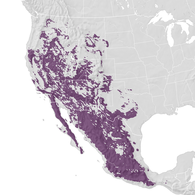 Mapa de Distribuição