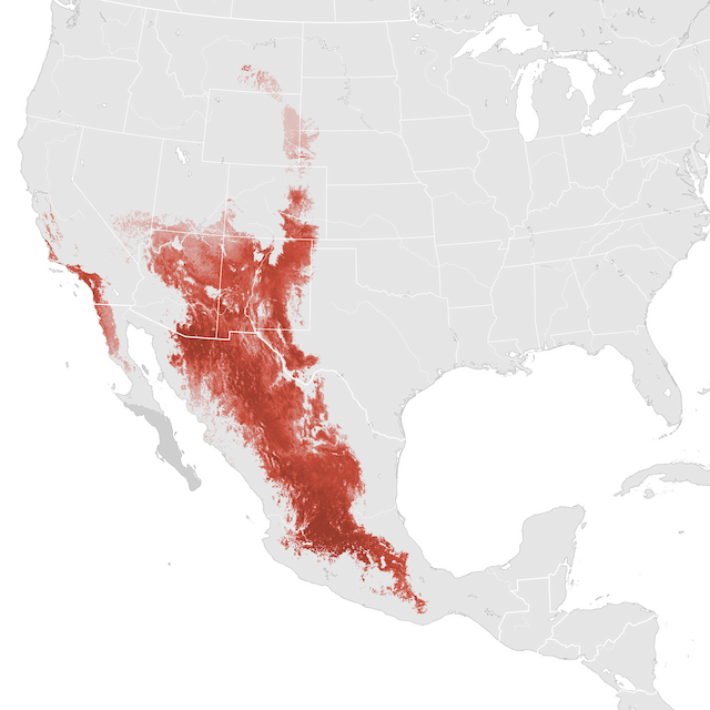 Mapa de abundancia