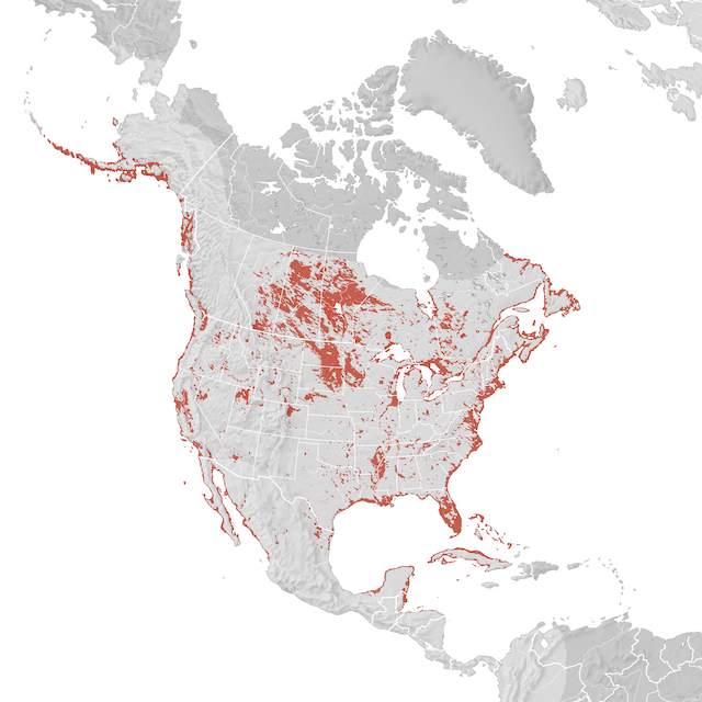 Mappa di distribuzione