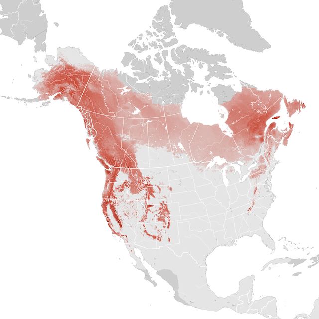 Abundance Map