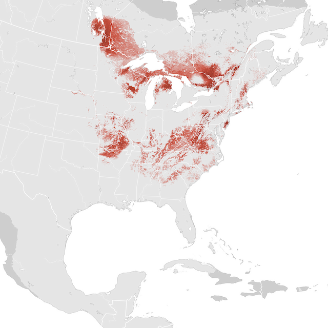 Abundance Map