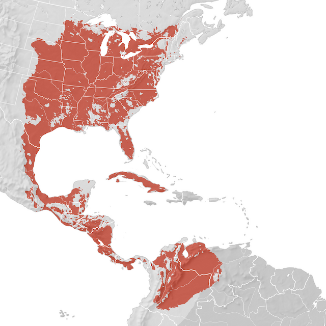 Mappa di distribuzione