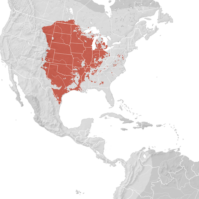 Mappa di distribuzione