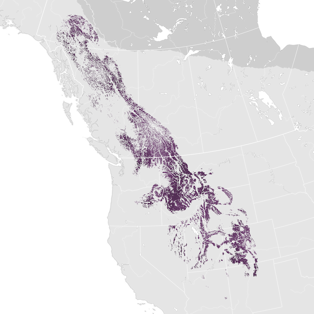 Abundance Map