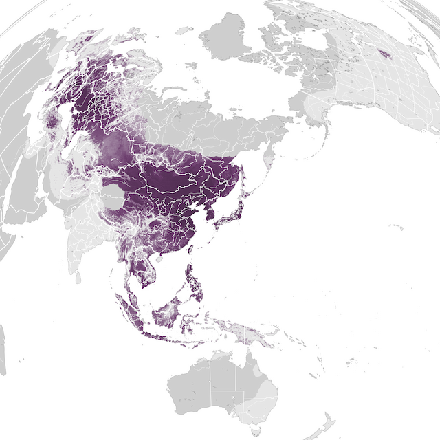 Mapa de Abundância