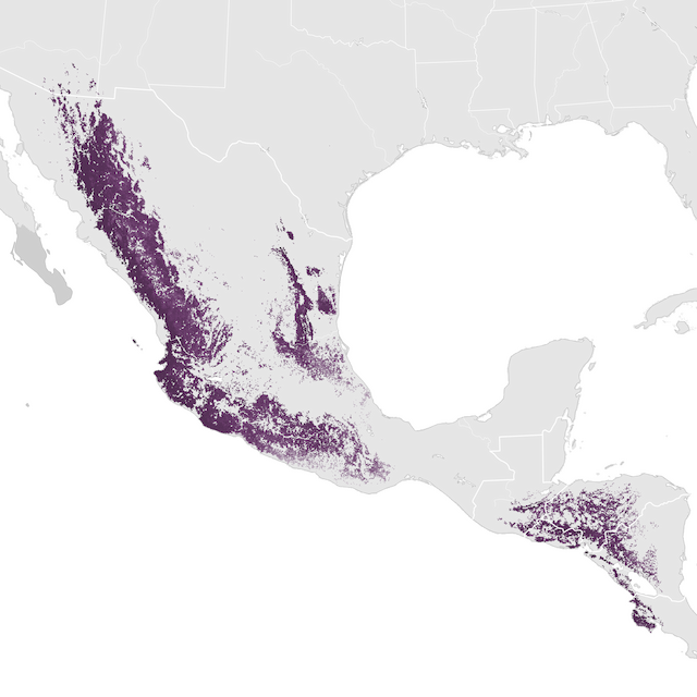 Mapa de Abundância