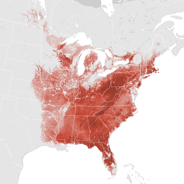 Abundance Map