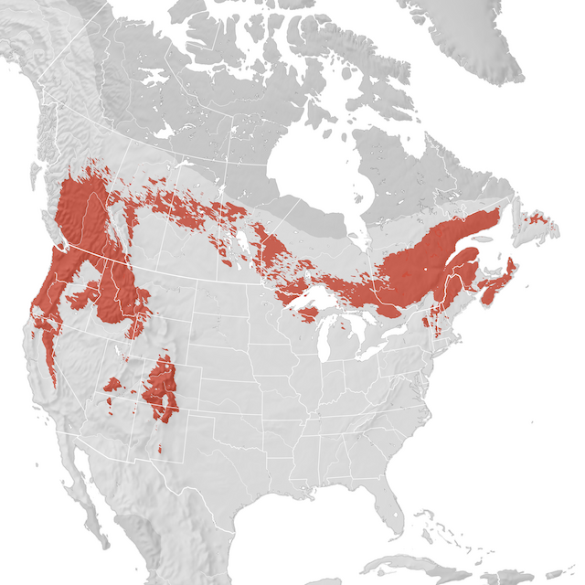 Range Map