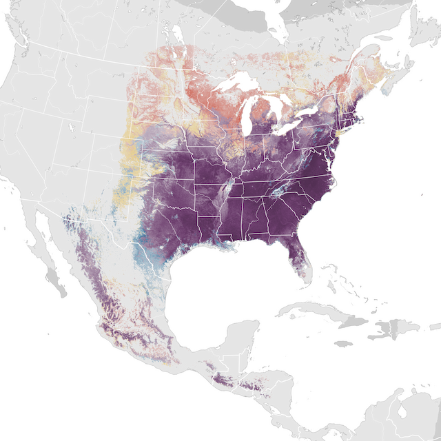 Abundance Map