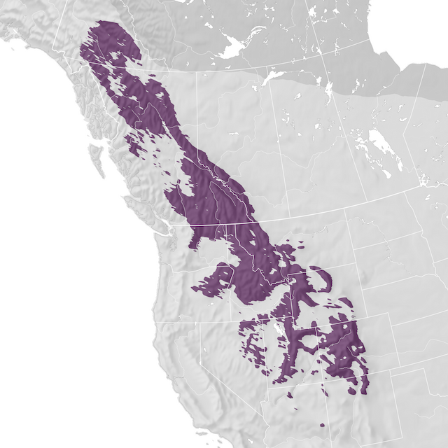 Range Map