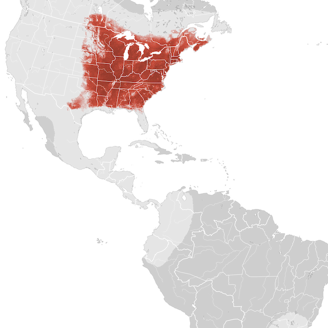 Abundance Map