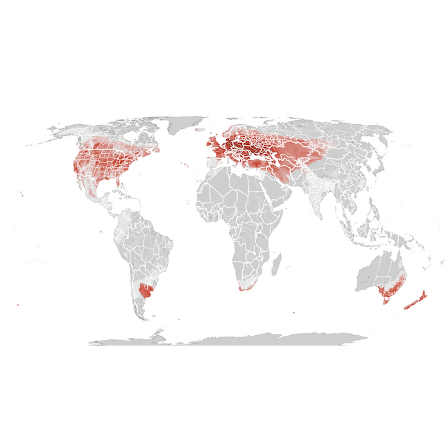 Mapa abundance