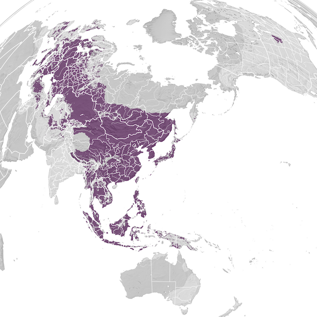 Carte de distribution