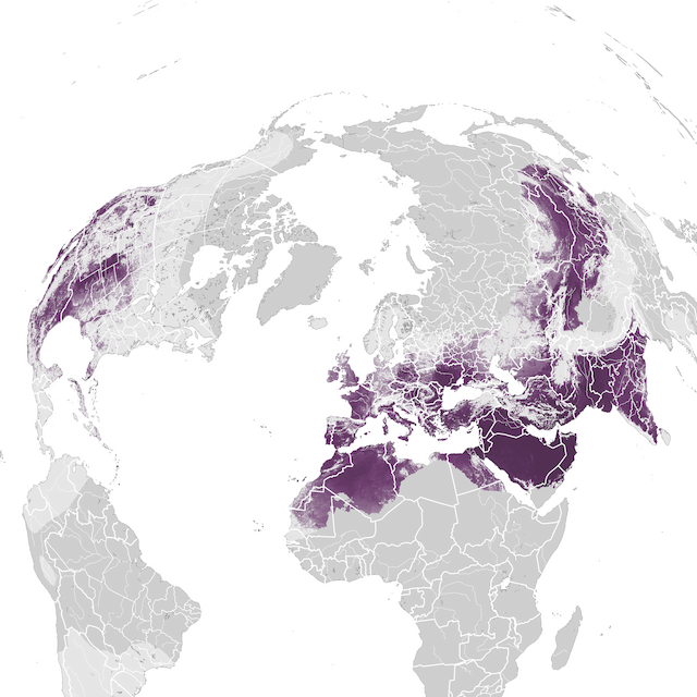 Abundance Map