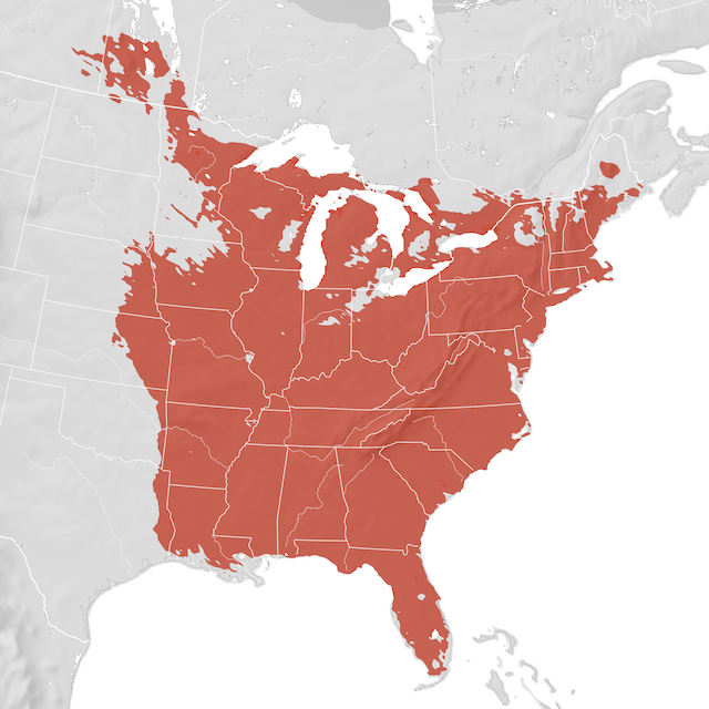 Range Map