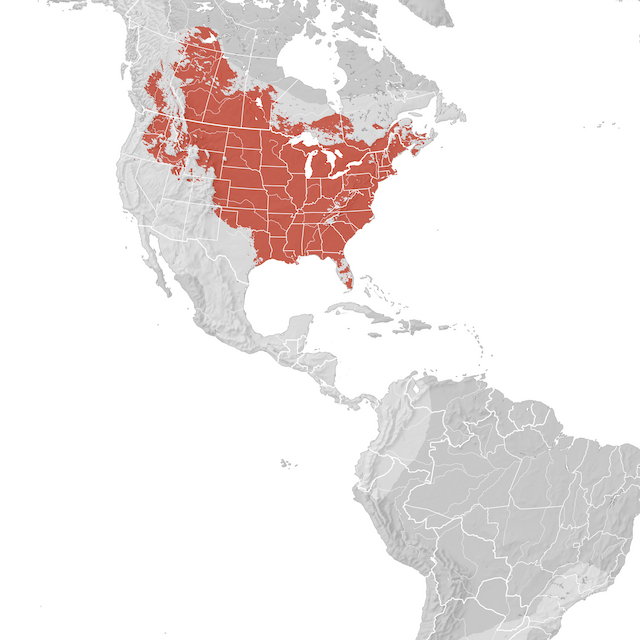 Carte de distribution