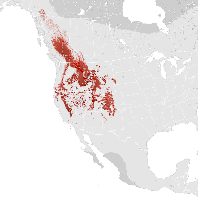 Mapa de abundancia