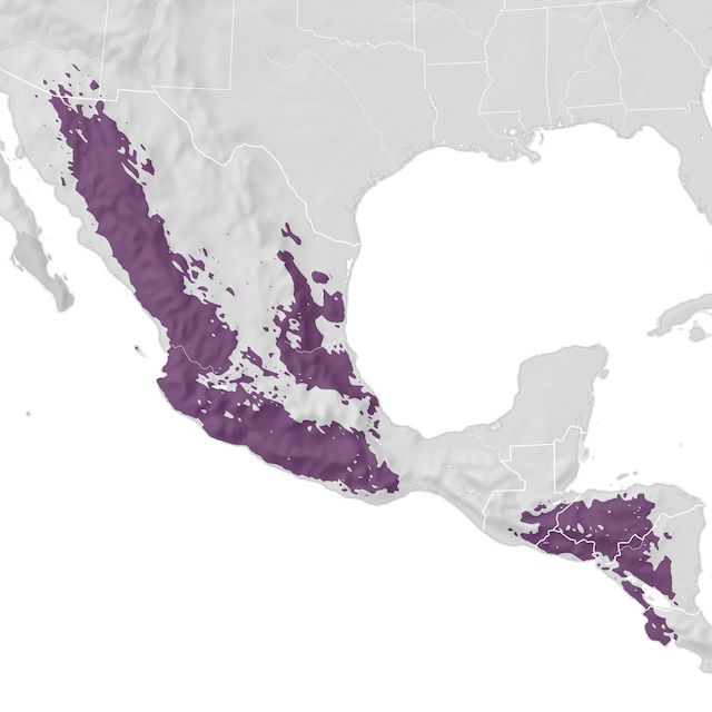 Mapa de distribuição