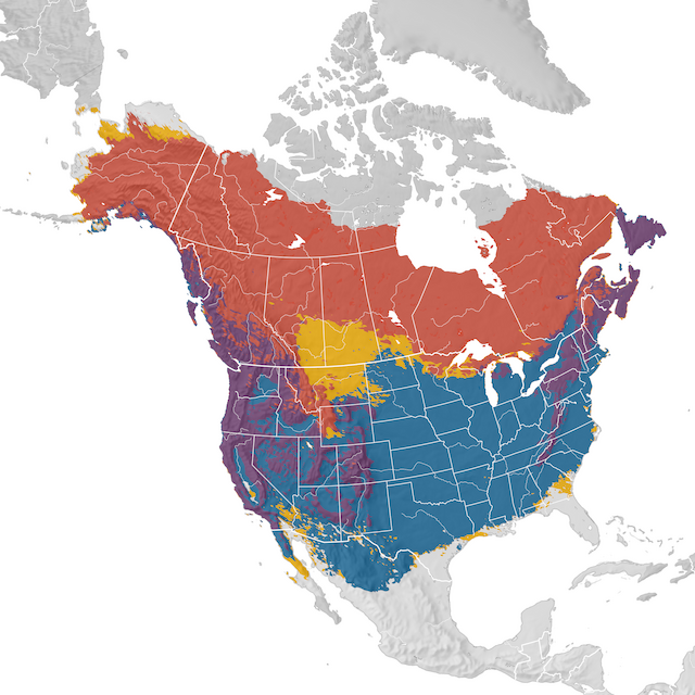 Mappa di distribuzione