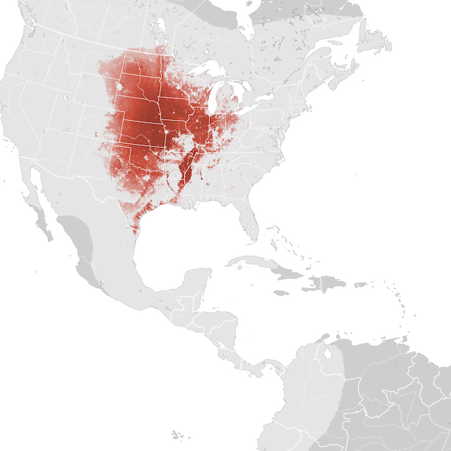 Mapa de abundancia