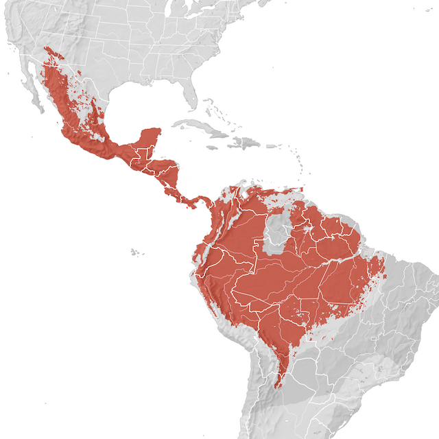 Carte de distribution