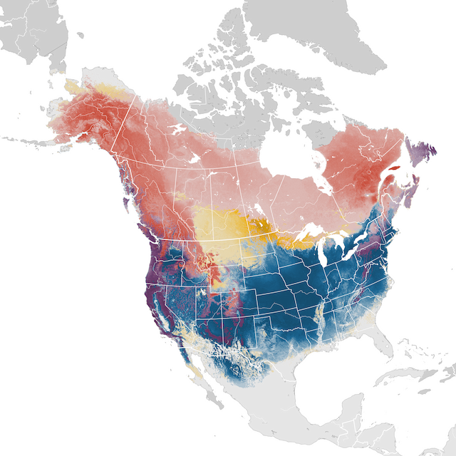 Abundance Map