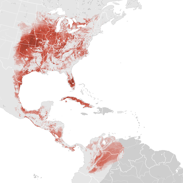 Mapa de abundâcia