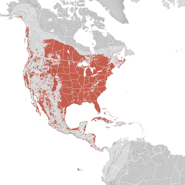 Mapa de Distribuição