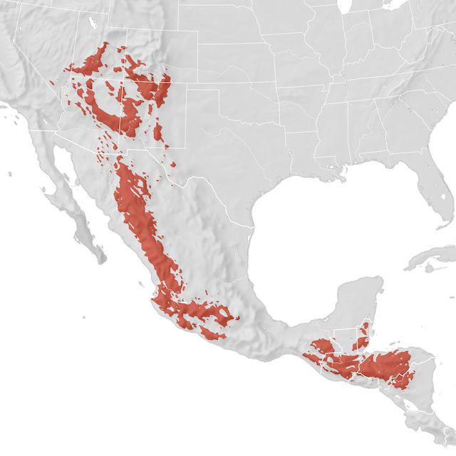 Range Map