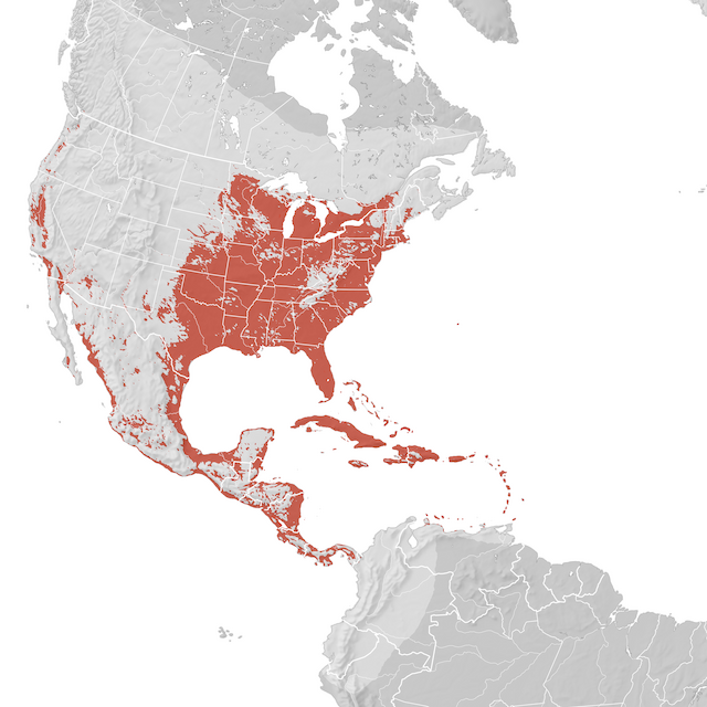 Mapa de Distribuição