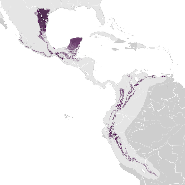 Mapa de Abundância