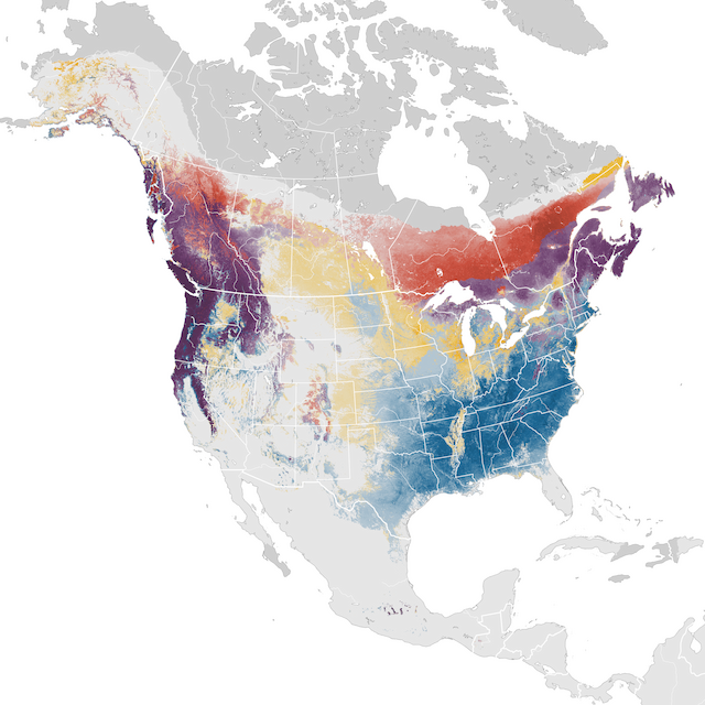 Abundance Map