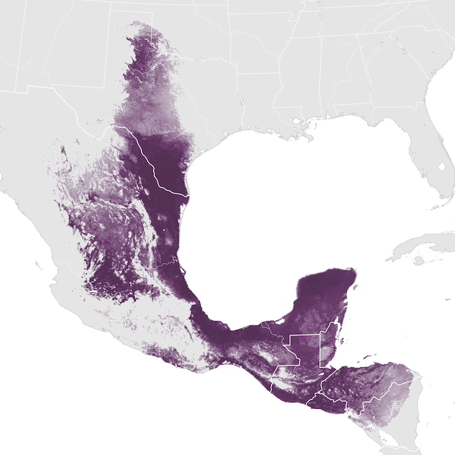 Mapa de Abundância