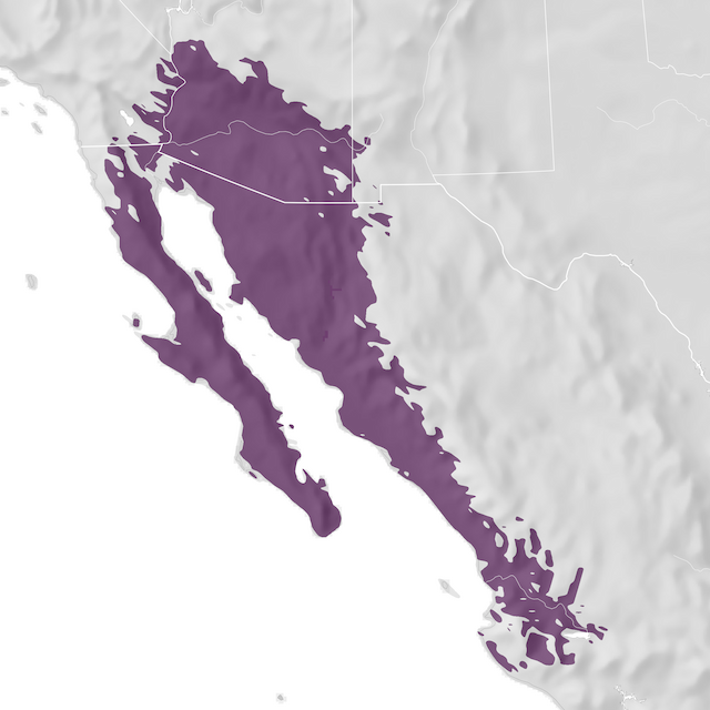 Range Map