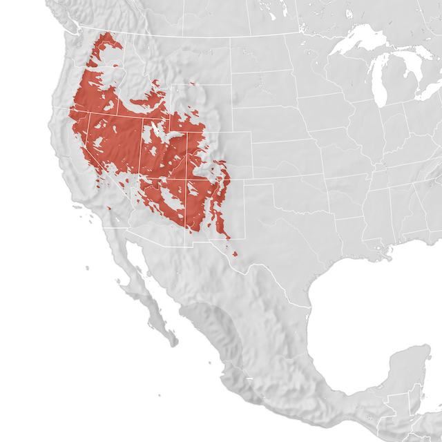 Range Map