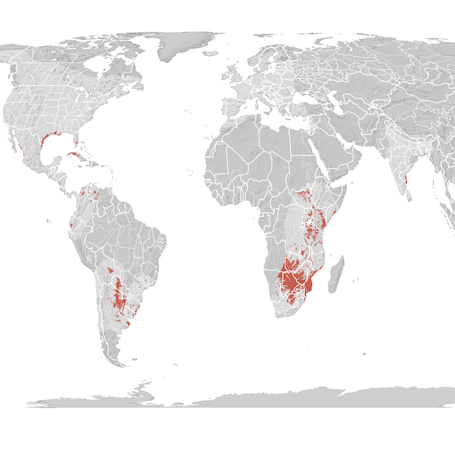 Carte de distribution