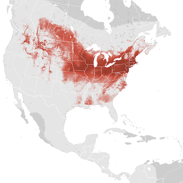 Mapa de Abundância