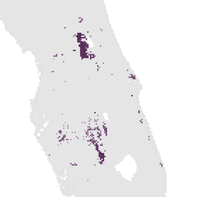 Abundance Map