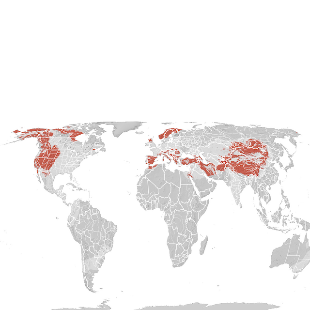 Carte de distribution