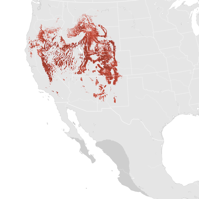 Abundance Map