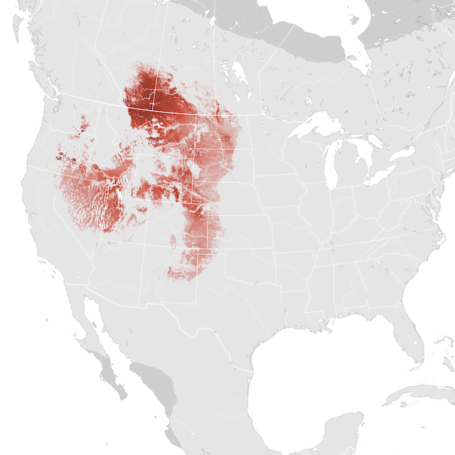 Mapa de abundancia