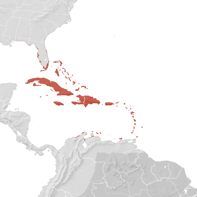 Mapa de Distribuição