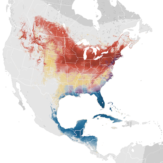 Abundance Map