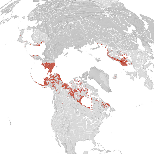 Banaketa-mapa