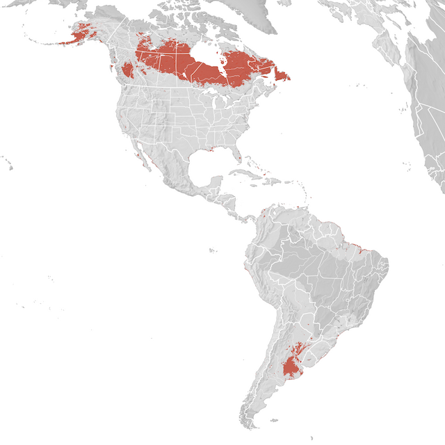 Mapa de Distribuição