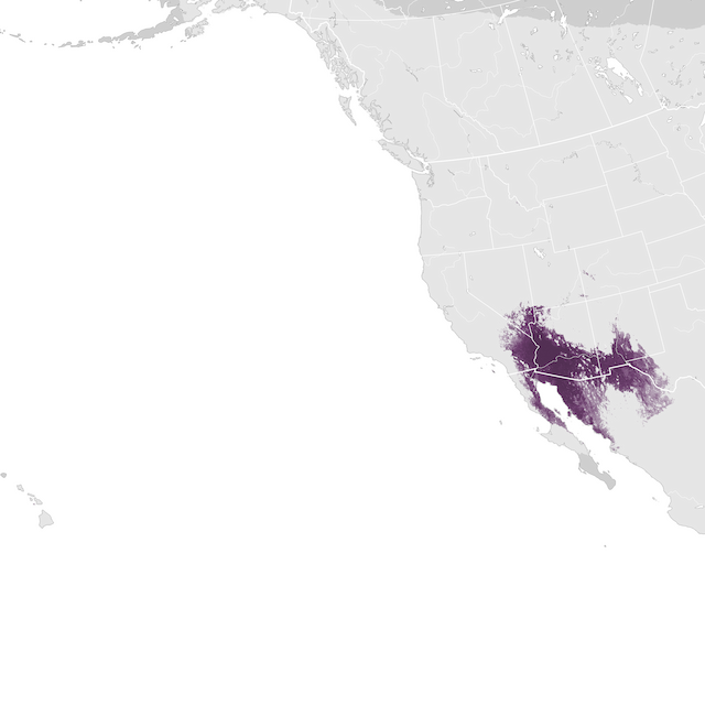 Mapa de Abundância