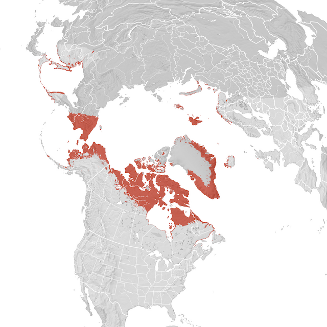 Mappa di distribuzione