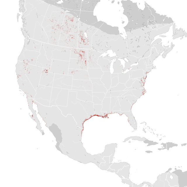 Abundance Map